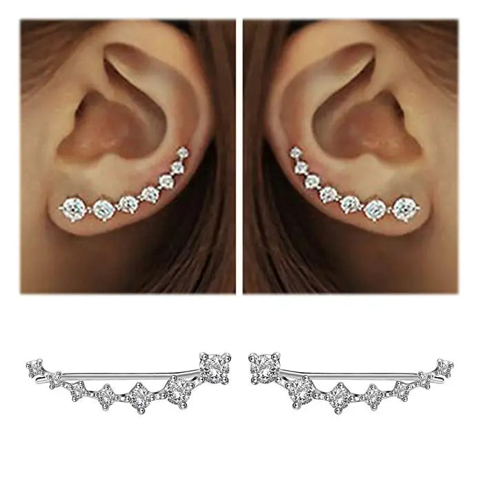 REETI New High Quality Super Shiny Zircon 925 Sterling Silver  Earring for Women Jewelry Wholesale Gift Ear row