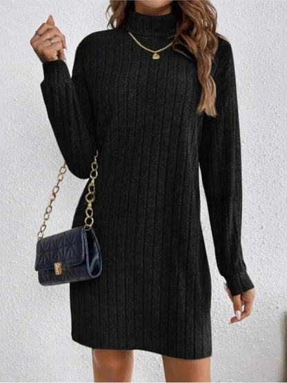 Autumn Winter Dress Woemn Casual Trutleneck Long Sleeve Solid Knitted Dress 2024 New Fashion Loose Comfortable Dresses Female