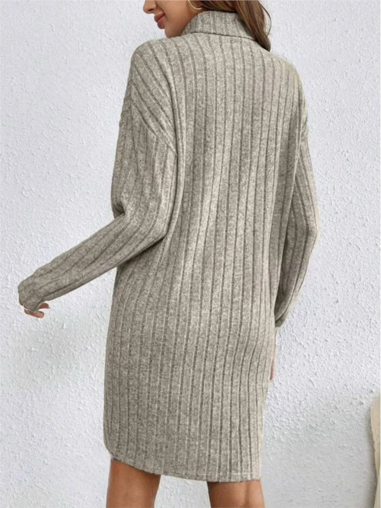 Autumn Winter Dress Woemn Casual Trutleneck Long Sleeve Solid Knitted Dress 2024 New Fashion Loose Comfortable Dresses Female