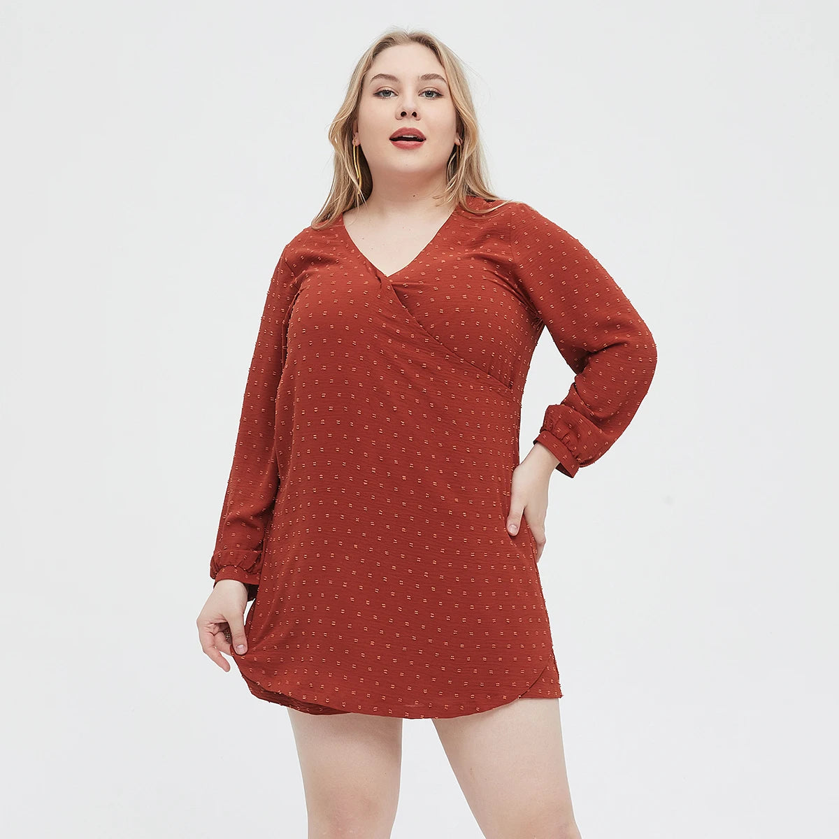 Plus Size 2024 New Fashion Swiss Dot Solid Dress Casual Polyester V Neck Long Sleeve Dress Women's Plus Size Clothing L055