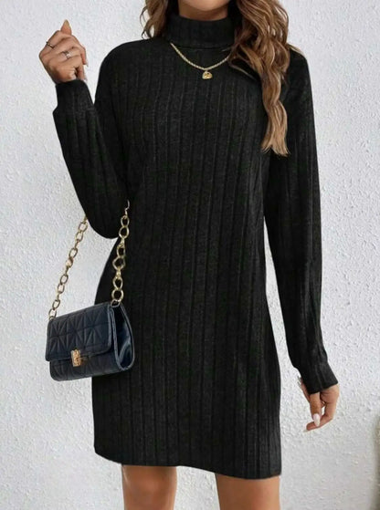 Autumn Winter Dress Woemn Casual Trutleneck Long Sleeve Solid Knitted Dress 2024 New Fashion Loose Comfortable Dresses Female